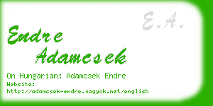 endre adamcsek business card